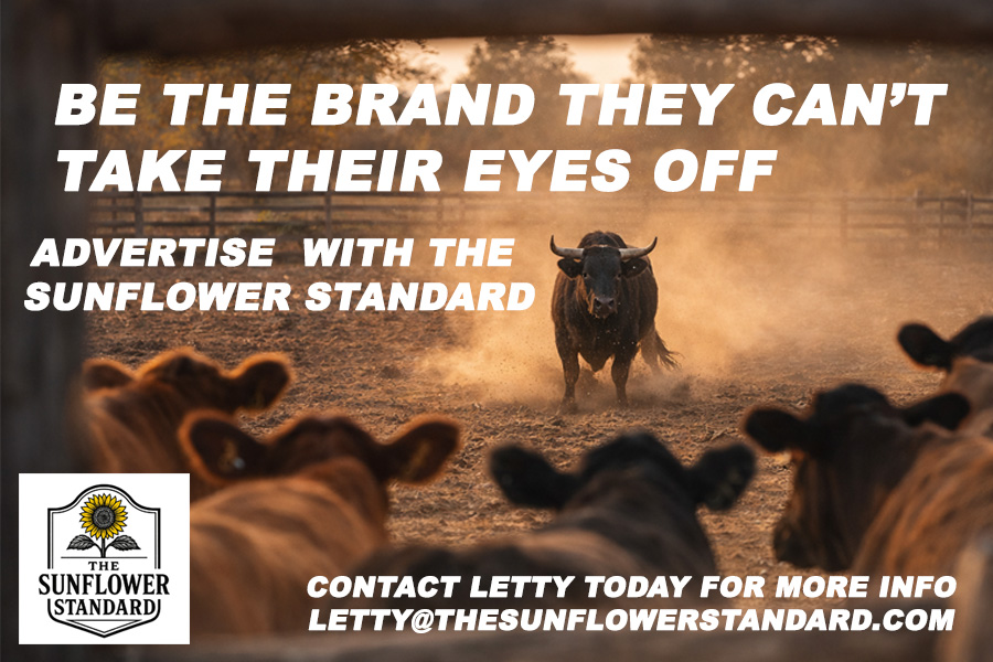 Sponsored content - Example Ad