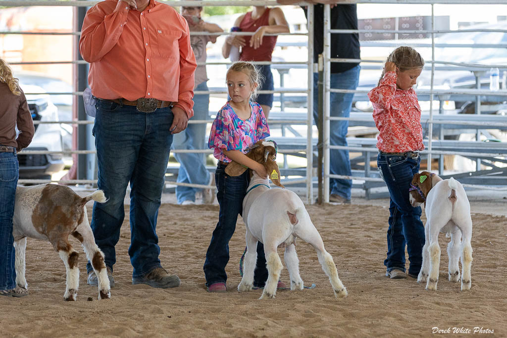 Scenes from the 2025 Thomas County Fair